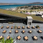 The S, Ascend Collection (adults Only) Αλακάτι