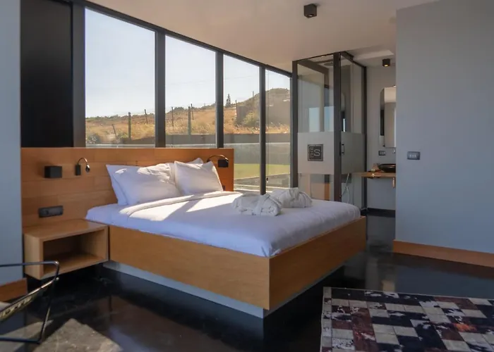 The S, Ascend Collection (adults Only)