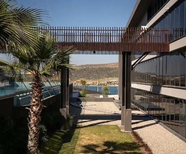 The S, Ascend Collection (adults Only) 3*