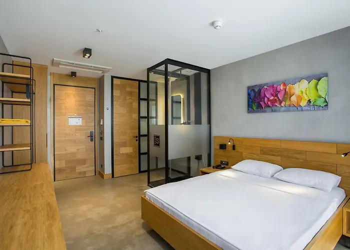 The S, Ascend Collection (adults Only)