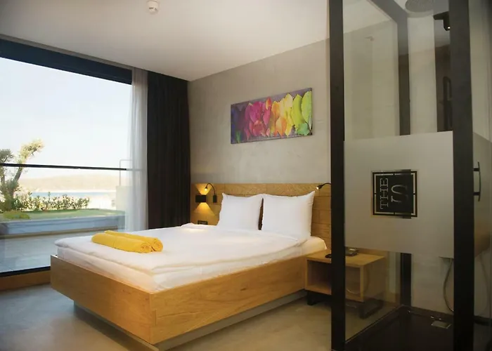 The S, Ascend Collection (adults Only) 3*